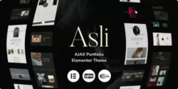 Asli AJAX Portfolio Elementor WordPress Theme
