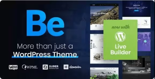 BeTheme Multipurpose WordPress Theme