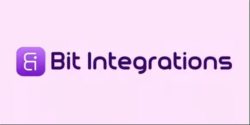 Bit Integrations Pro