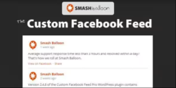 Custom Facebook Feed Pro