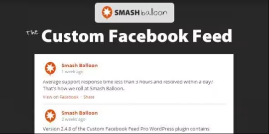 Custom Facebook Feed Pro