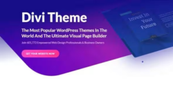 Divi WordPress Theme