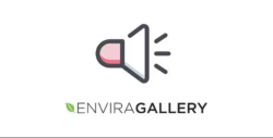 Envira Gallery Audio Addon