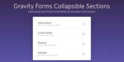 Gravity Forms Collapsible Sections