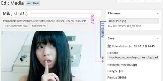 Media File Renamer Pro