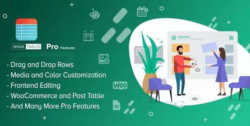 Ninja Tables Pro WordPress Plugin