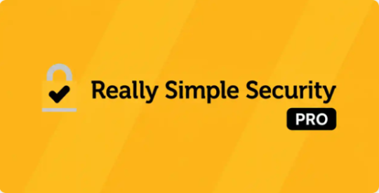 Really Simple Security Pro