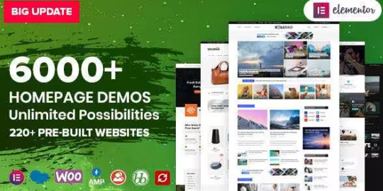 Soledad Multi-Concept AMP Theme