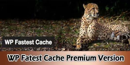 WP Fastest Cache Premium