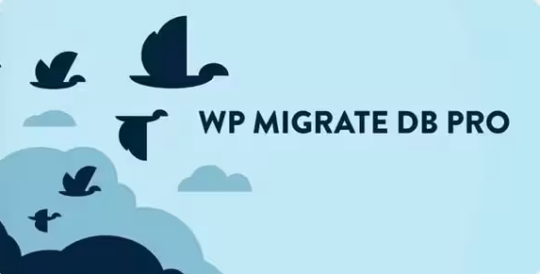 WP Migrate DB Pro